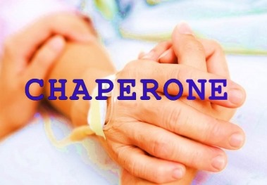 medical chaperone blog