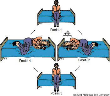 jumlah air yang perlu diminum mengikut berat badan Report: Statistics and Facts