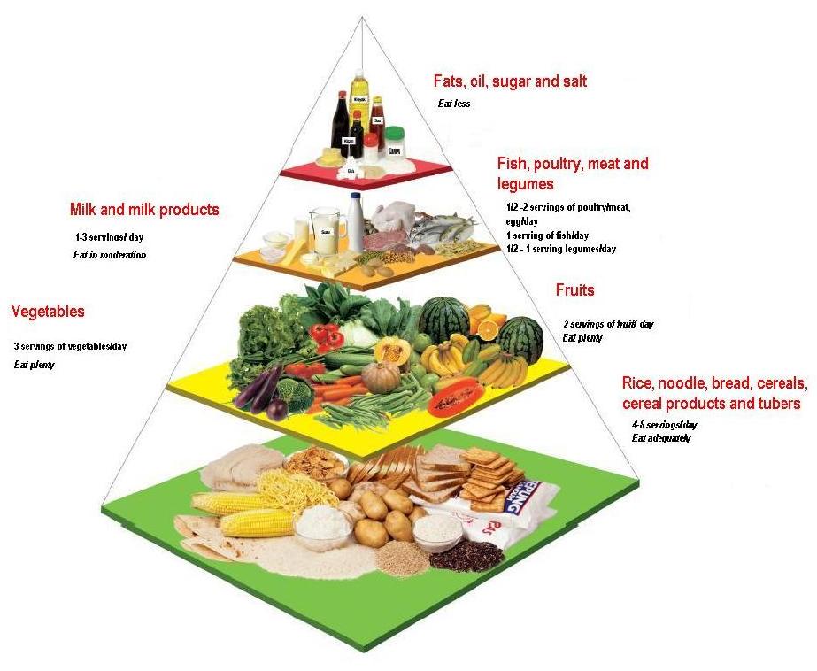 food pyramid servings sizes